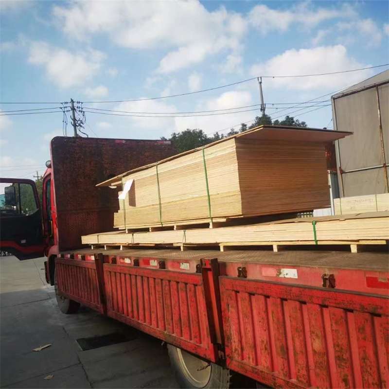王下乡海城市物流：多元运输服务与线路探秘
