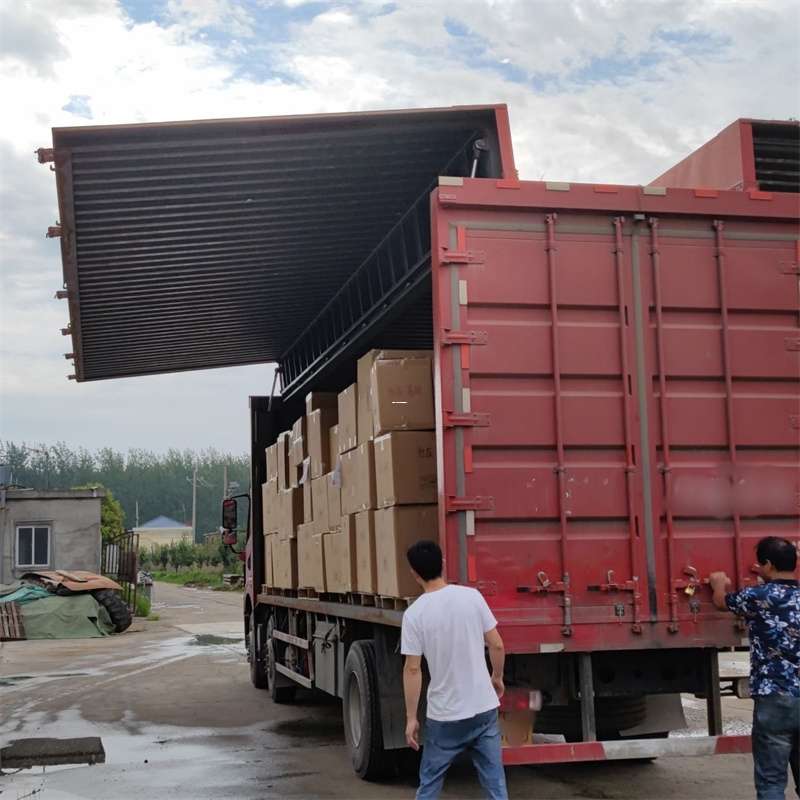 王下乡扎囊县：物流专线的高效货运之旅