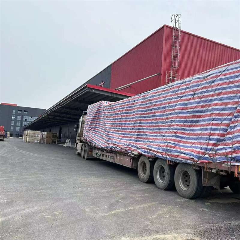 王下乡探秘巴中市多元物流运输世界